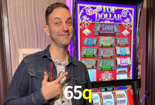 Premium Interface 65q